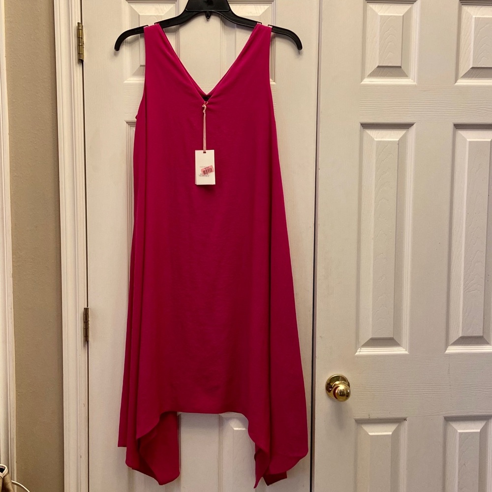 NWT Alex Marie dress